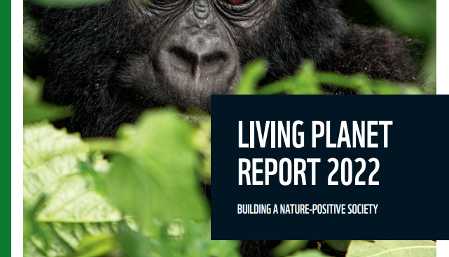 Living Planet Report 2022 WWF - Business For Biodiversity Ireland