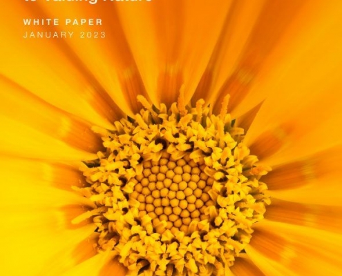 Cover of document with close up of centre of orange flower