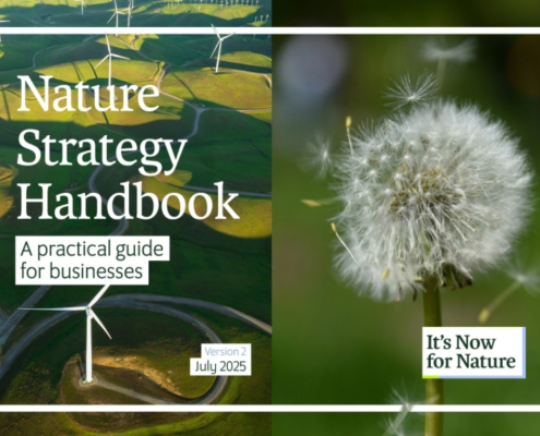 Screenshot of cover with image of dandelion seedhead and windfarm