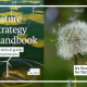 Screenshot of cover with image of dandelion seedhead and windfarm