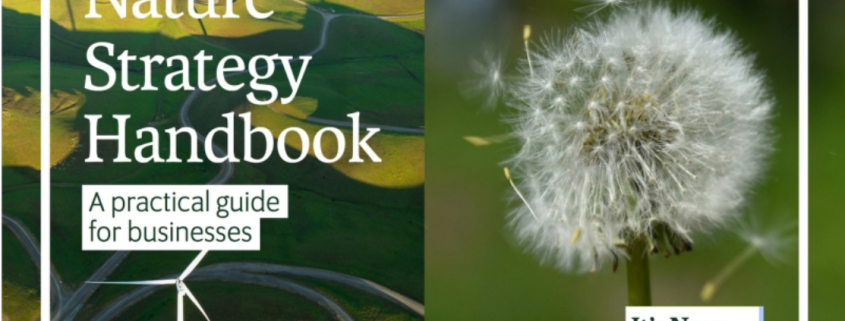Screenshot of cover with image of dandelion seedhead and windfarm