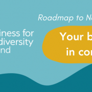 Pale teal background with yellow and green shapes, logo and white text: Roadmap to Nature, Your business in context