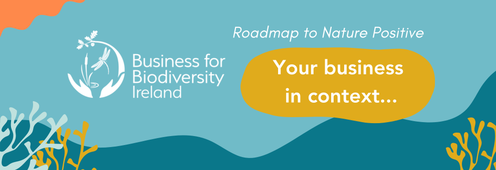 Pale teal background with yellow and green shapes, logo and white text: Roadmap to Nature, Your business in context
