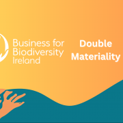 White text on orange background, l'Doublie Materiality' logo, illustrations of orange coral and fish