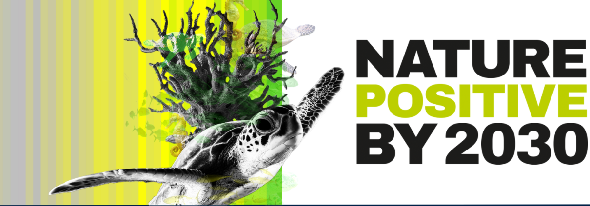 Illustration of turtle in black, yellow and green with words NATURE POSITIVE BY 2030