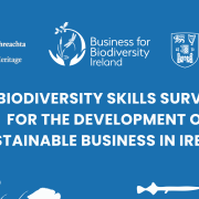 Blue poster with white text and logos, illustrations of fish and seaweed