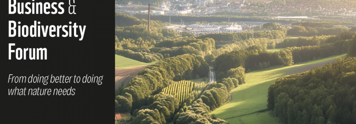 Green landscape with curved hedgerows