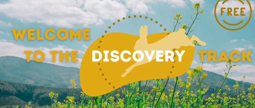 Decorative logo for the Discovery Track with yellow leaping hare silhouette and a photo of a field of yellow flowers and a blue sky