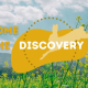 Decorative logo for the Discovery Track with yellow leaping hare silhouette and a photo of a field of yellow flowers and a blue sky