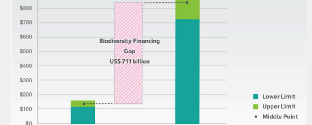 Graph with pink and green hues