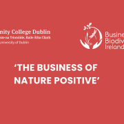 TCDpost (1) Red cover with white text and logos