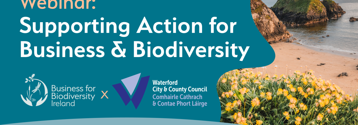 Poster in teal with white and beige text, photo of sunny beach with yellow flowers