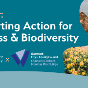 Poster in teal with white and beige text, photo of sunny beach with yellow flowers