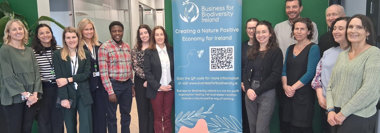 Group of people in an office with green walls beside a pullup posted with a QR code