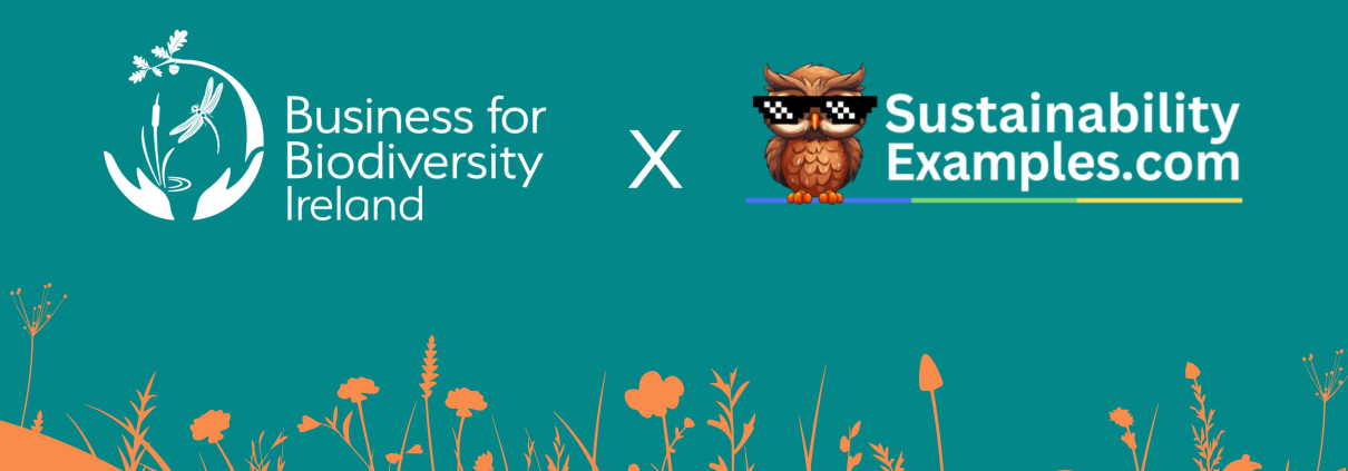 Poster in teal with two logos, one with a dragonfly and hands, one with an owl wearing shades. Orand silhoutte of flowers at the base