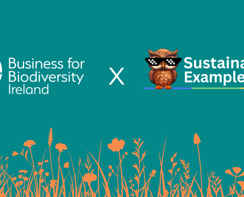 Poster in teal with two logos, one with a dragonfly and hands, one with an owl wearing shades. Orand silhoutte of flowers at the base