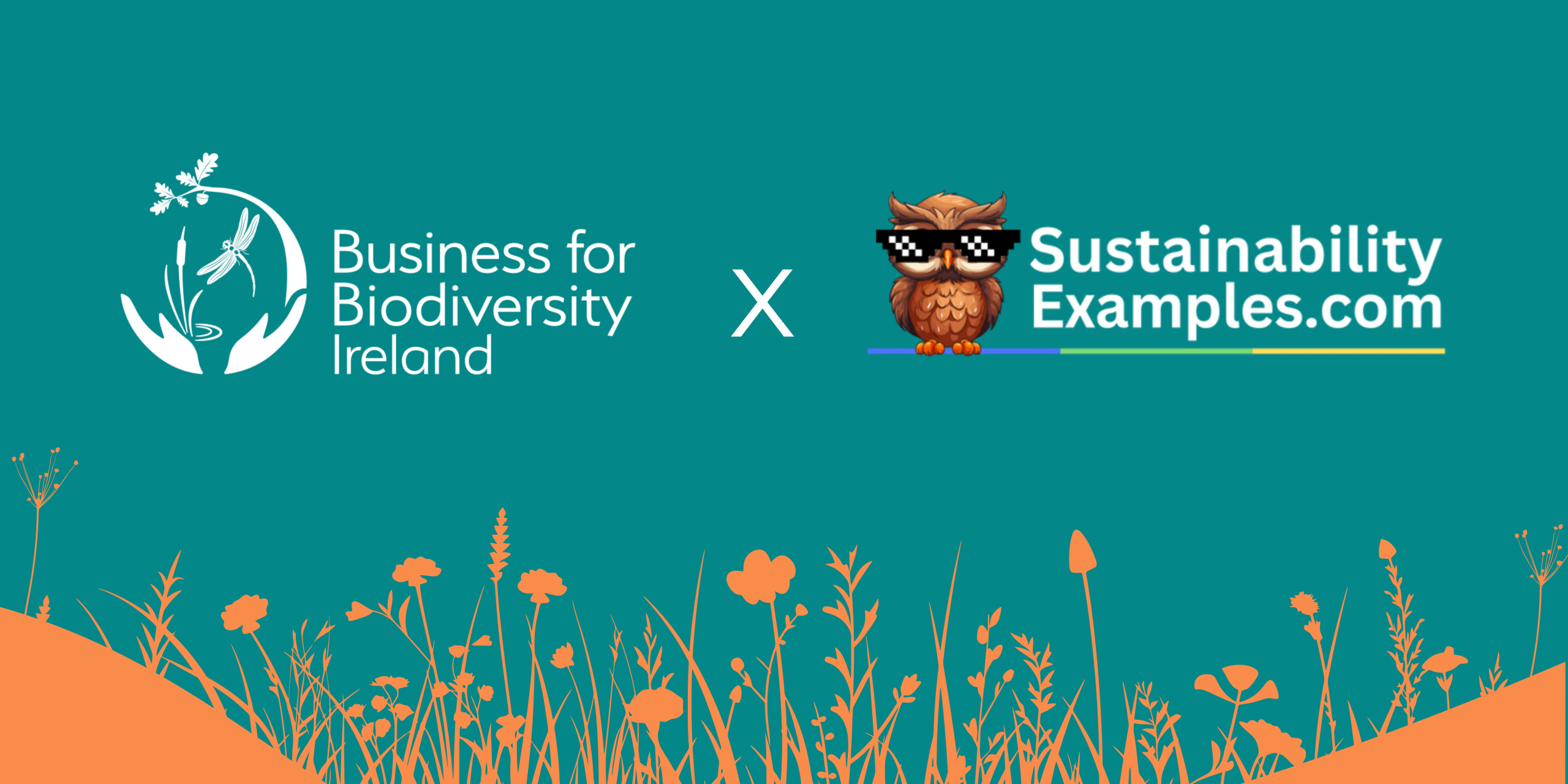 Poster in teal with two logos, one with a dragonfly and hands, one with an owl wearing shades. Orand silhoutte of flowers at the base