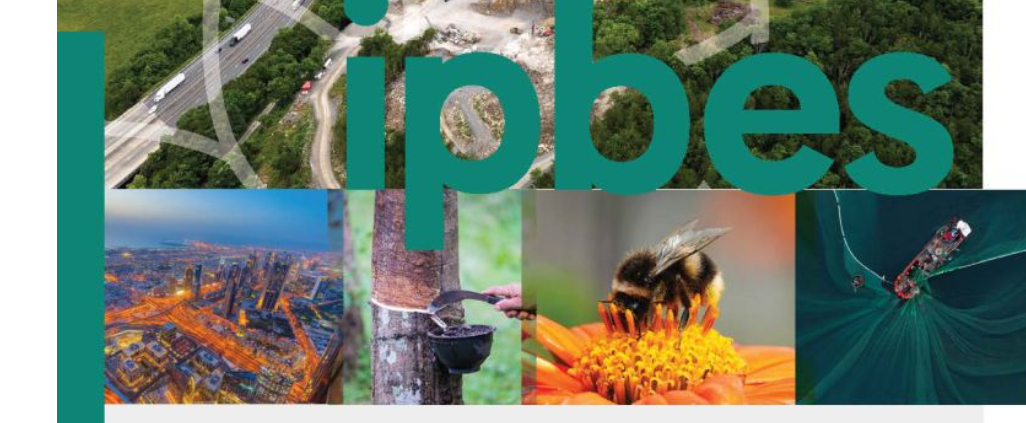 Report cover with photo of river valley