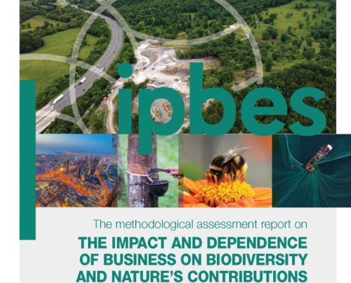 Report cover with photo of river valley