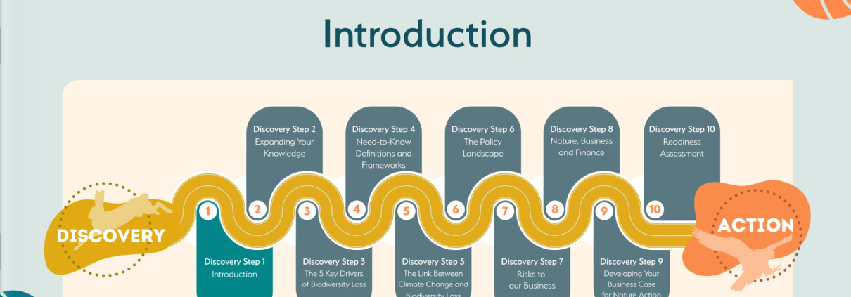 Diagramme, entitled Discovery Track, with blue boxes and a yellow wavy line progressing from Discvery logo to Action logo.