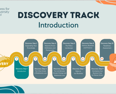 Diagramme, entitled Discovery Track, with blue boxes and a yellow wavy line progressing from Discvery logo to Action logo.