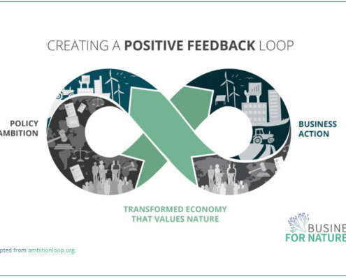 Diagram of an infinity loop with images of fashion and windfarms and other symbols of industry