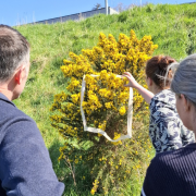 Three people in a sunny field facing a yellow flowered bush. One holds a white cutout to the flowers.