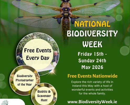 Poster with text and dragonfly with outstretched wings on green background
