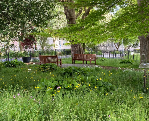 Wooded area on a university campus with two wooden benches