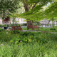 Wooded area on a university campus with two wooden benches
